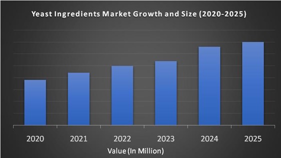 Yeast Ingredients Market
